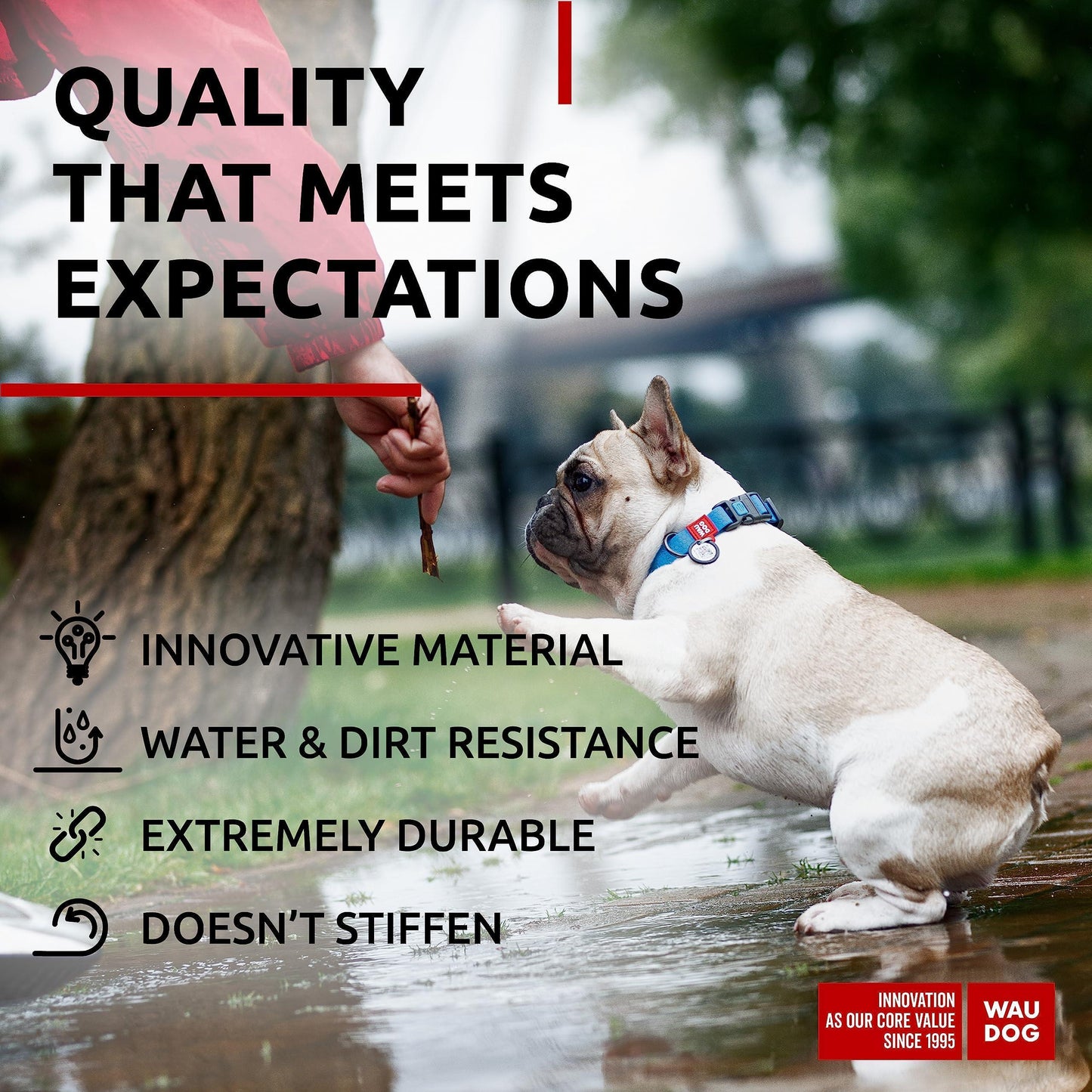 Waterproof Dog Collar Adjustable Dog Collar for Large Dogs Small and Medium Dogs Breakaway Dog Collar Waterproof with Plastic Buckle and QR Dog Tag Boy & Girl Dog Collars (Blue)