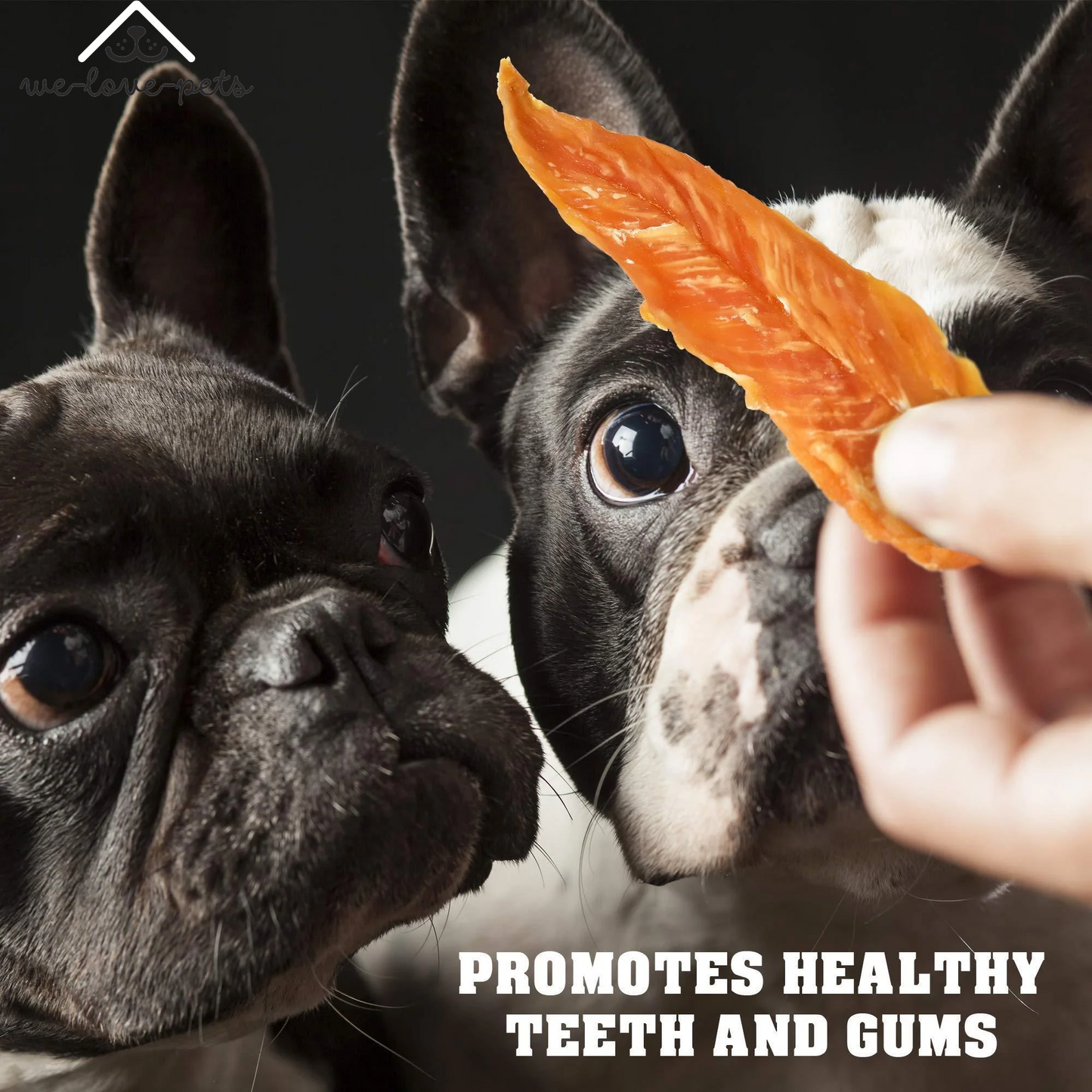 Chicken Jerky Dog Treats 1.5 Lb Human Grade Pet Snacks Grain Free Organic Meat