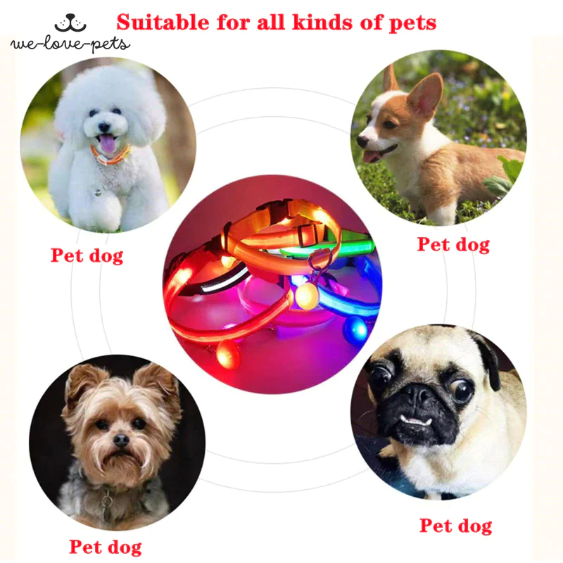 Illuminate Your Pup's Safety: Waterproof LED Adjustable Flashing Dog Collar