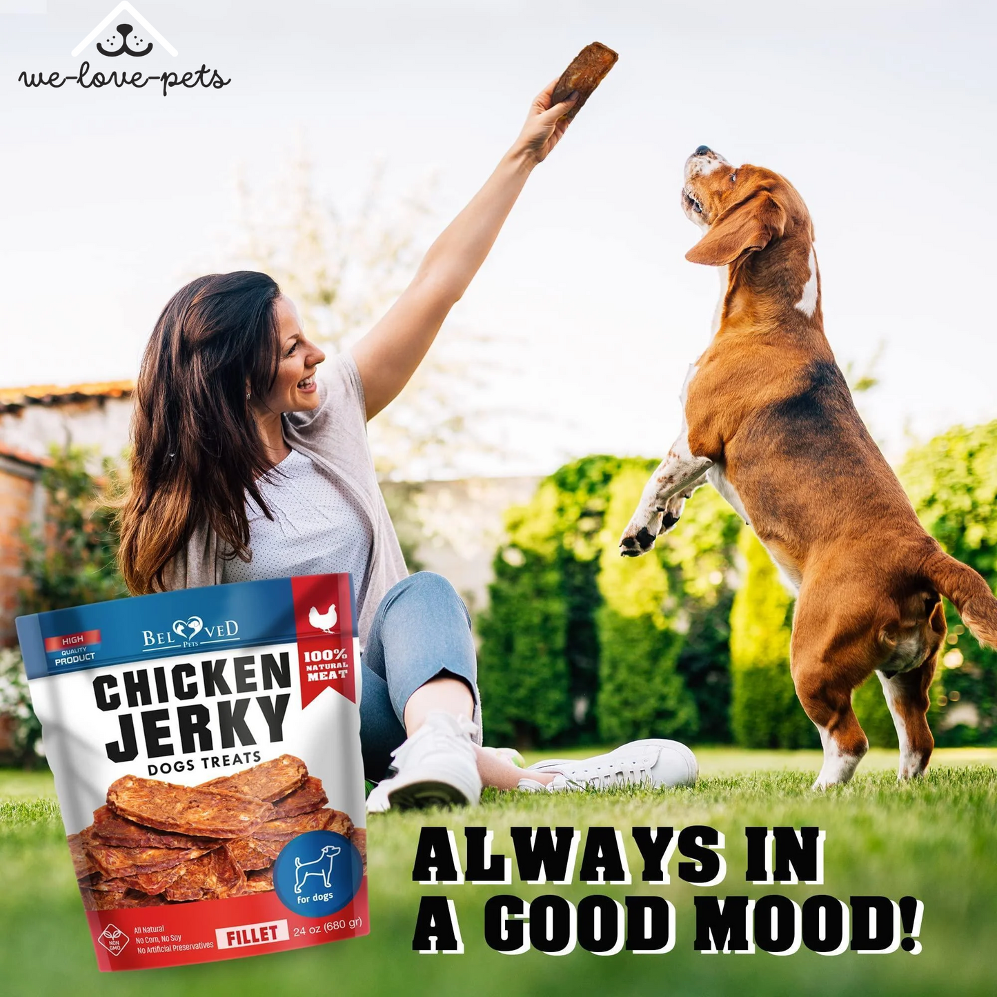 Chicken Jerky Dog Treats 1.5 Lb Human Grade Pet Snacks Grain Free Dried Strips