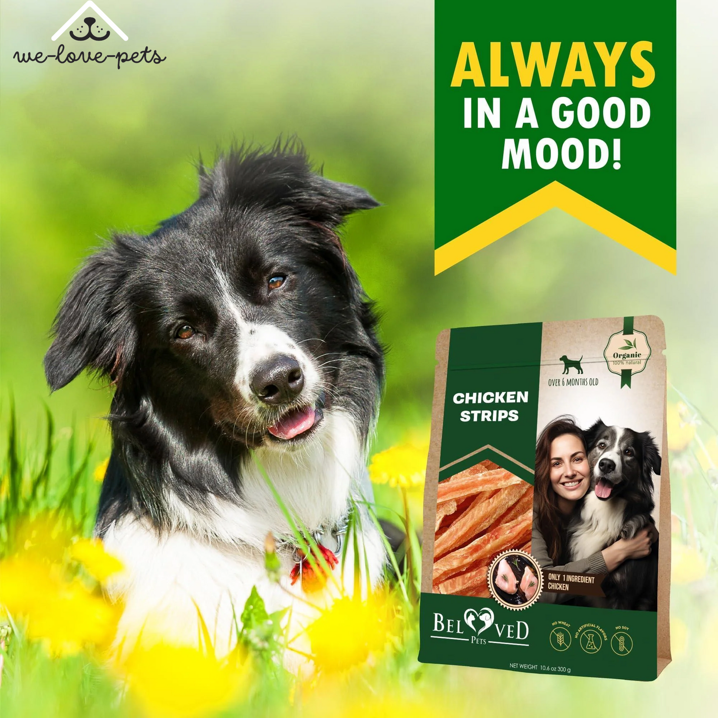 Chicken Strips Dog Treats Human Grade Meat Sticks Grain Free Chews 10.6 Oz