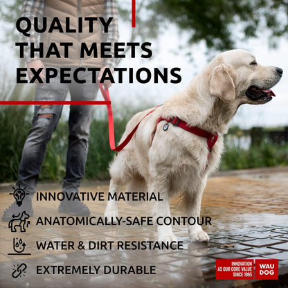 Waterproof Dog Harness Adjustable Dog Harness for Large Dogs Small and Medium Dogs Heavy Duty Dog Harness with Durable Metal Clasp and QR Dog Tag Boy & Girl Dog Harness Red (24 35In)