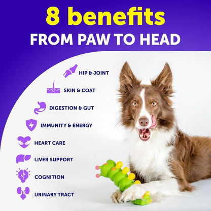 Dog Multivitamin Chewable with Glucosamine 20 in 1 Dog Vitamins And