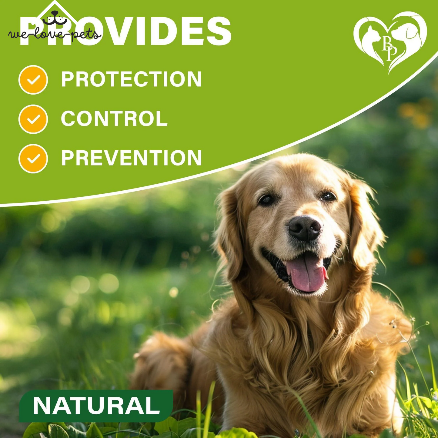 Natural Flea & Tick Collar for Dogs 6 Months Control of Best Prevention & Safe Treatment anti Fleas and Ticks Essential Oil Repellent (1 Count (Pack of 1))