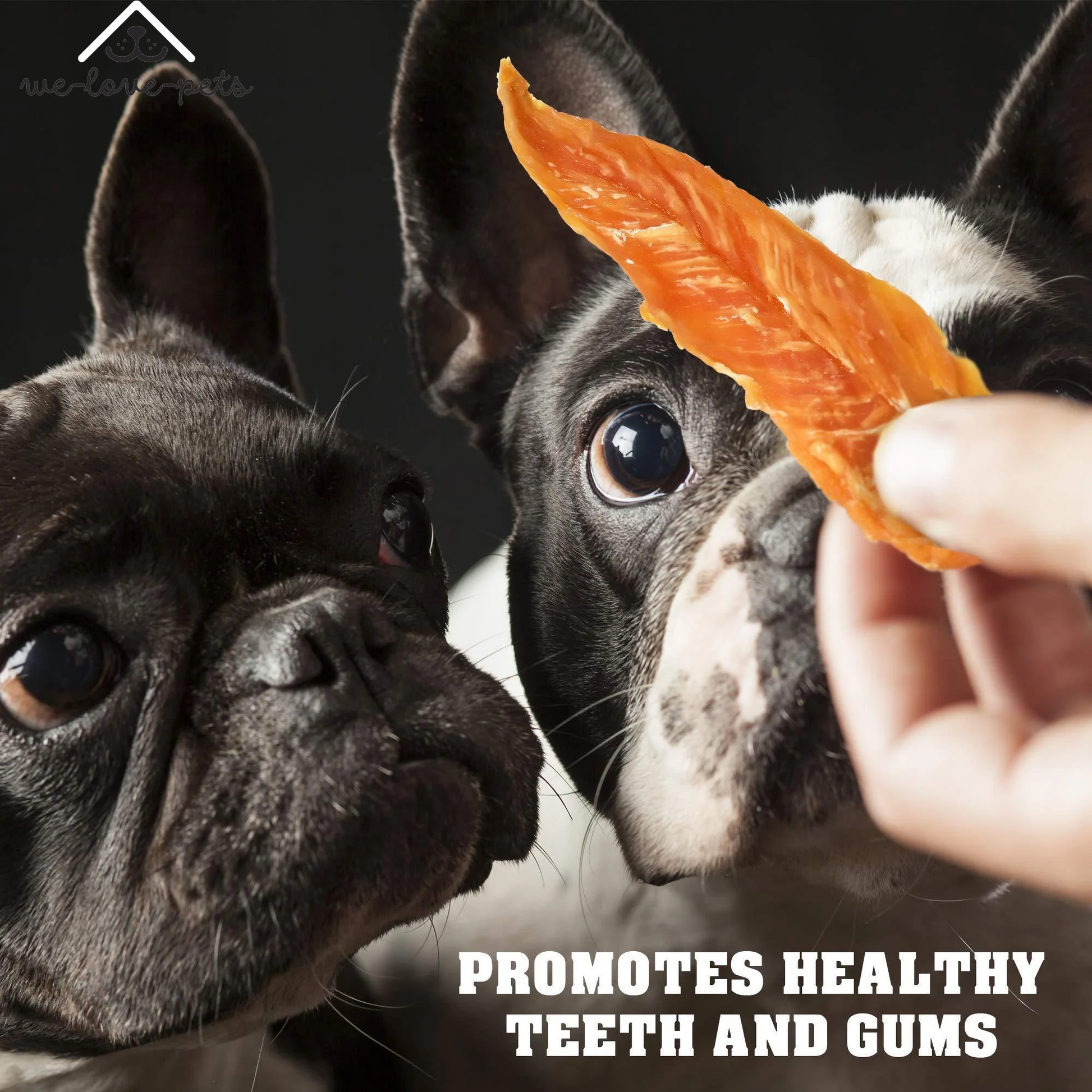 Chicken Jerky Dog Treats 1.5 Lb Human Grade Pet Snacks Grain Free Organic Meat