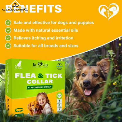 Natural Flea & Tick Collar for Dogs 6 Months Control of Best Prevention & Safe Treatment anti Fleas and Ticks Essential Oil Repellent (1 Count (Pack of 1))