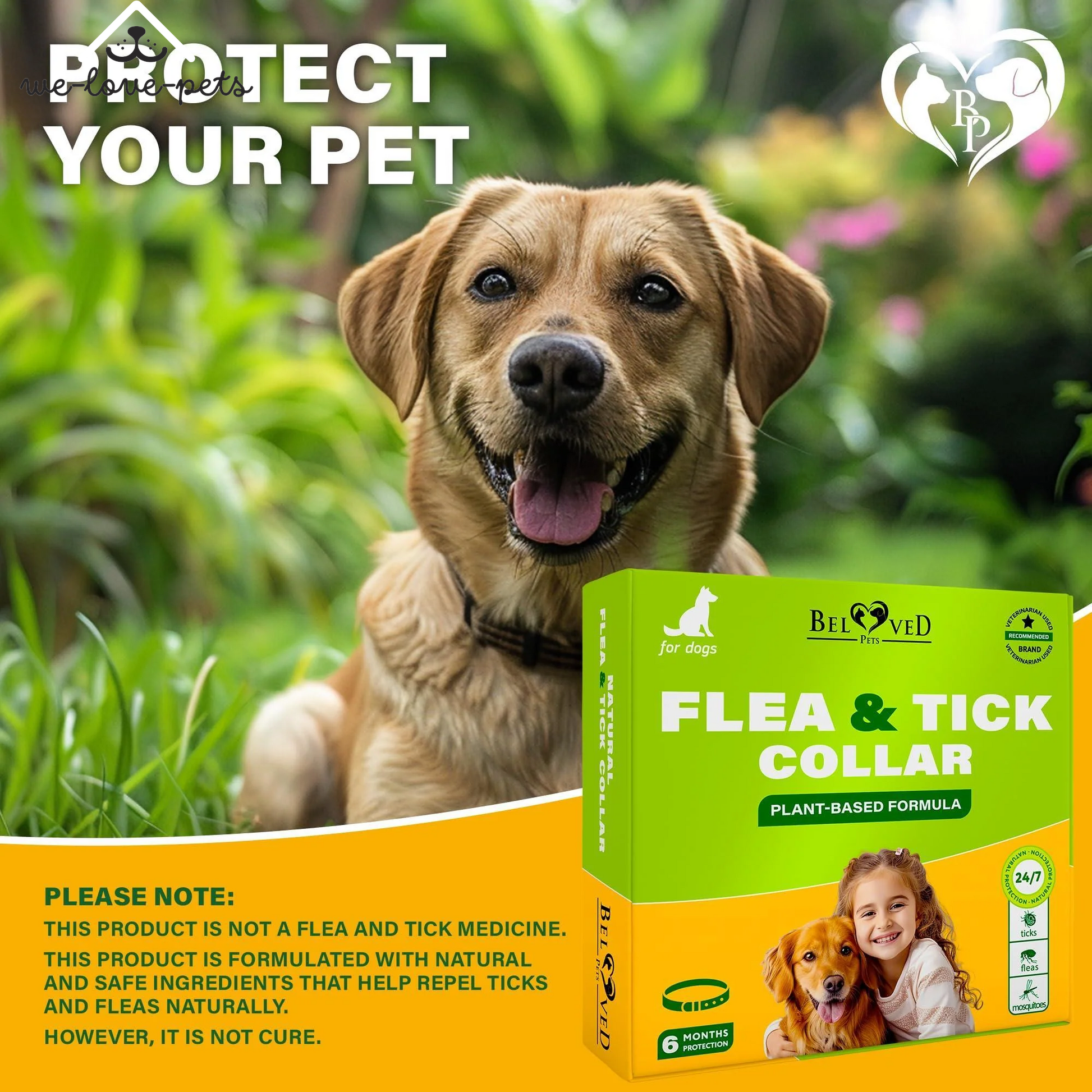 Natural Flea & Tick Collar for Dogs 6 Months Control of Best Prevention & Safe Treatment anti Fleas and Ticks Essential Oil Repellent (1 Count (Pack of 1))