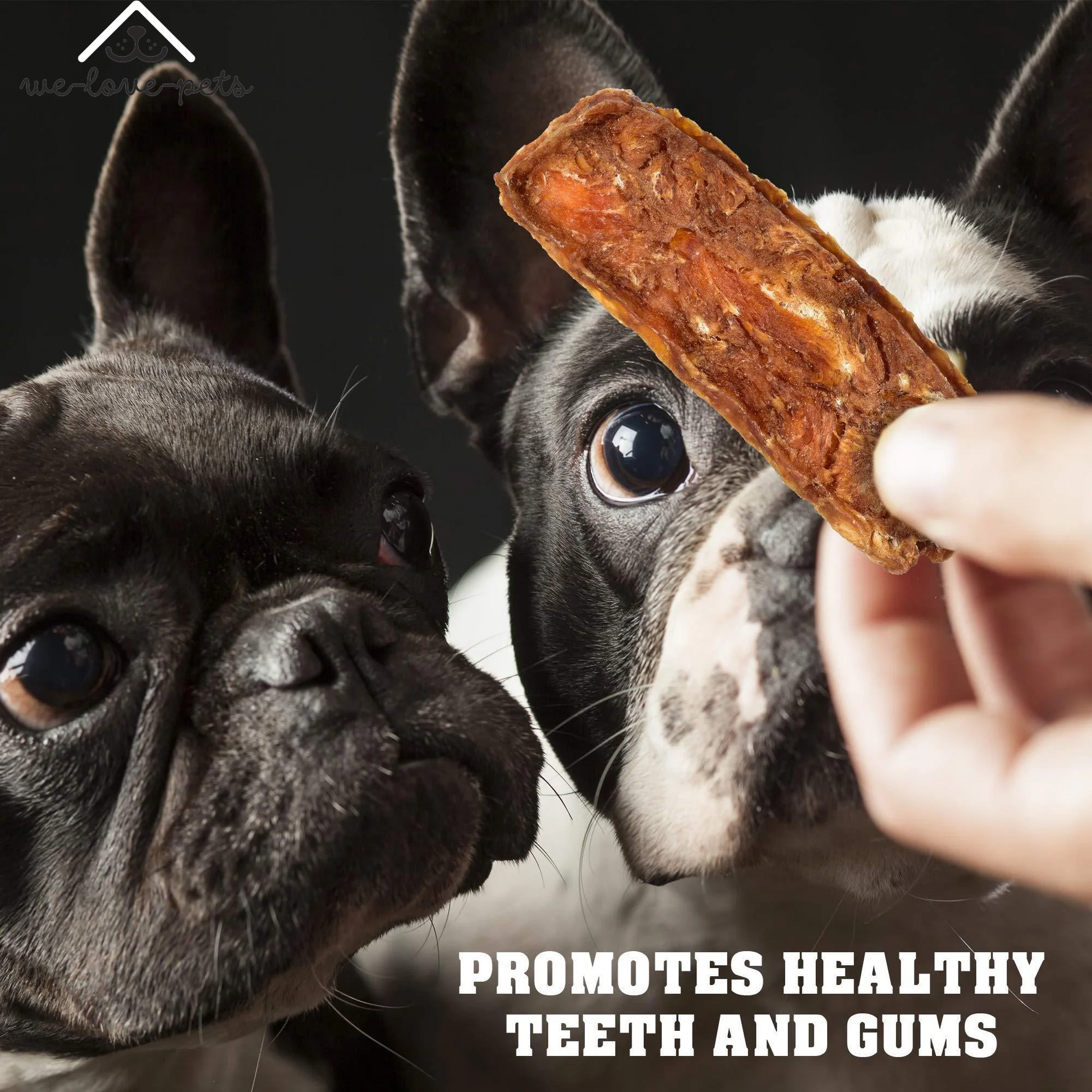 Chicken Jerky Dog Treats 1.5 Lb Human Grade Pet Snacks Grain Free Dried Strips
