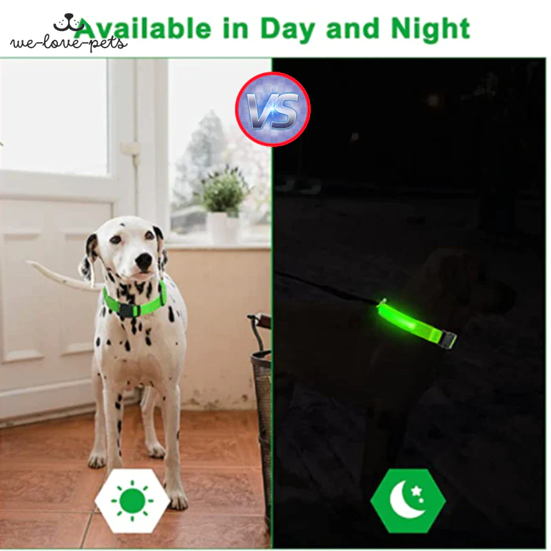 Illuminate Your Pup's Safety: Waterproof LED Adjustable Flashing Dog Collar