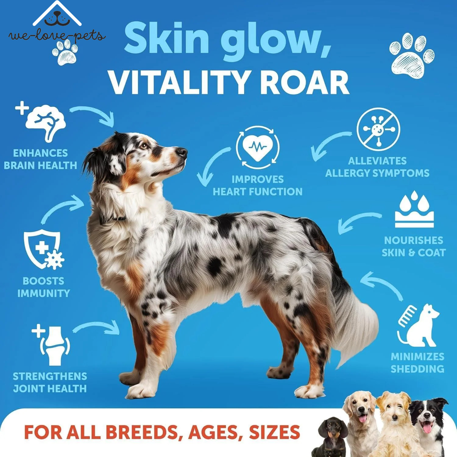 Salmon Oil for Dogs Omega 3 for Dogs 16 FL OZ Wild Alaskan Salmon Fish Oil
