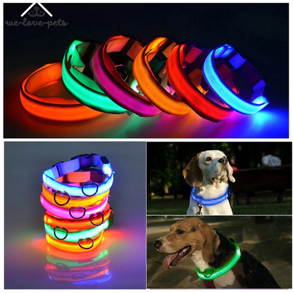 Illuminate Your Pup's Safety: Waterproof LED Adjustable Flashing Dog Collar