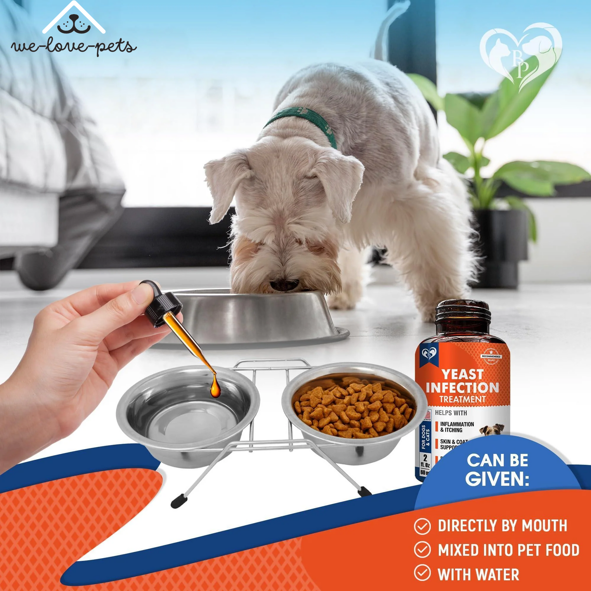 Natural Dog Yeast Infection anti Itch Treatment Itchy Ears Skin & Allergy Symptoms Relief Reduces Inflammation & Relieves Irritation Herbal Medicine Supplement Drops Made in USA